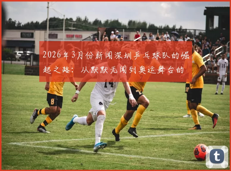 2026年3月份新闻深圳乒乓球队的崛起之路：从默默无闻到奥运舞台的辉煌历程